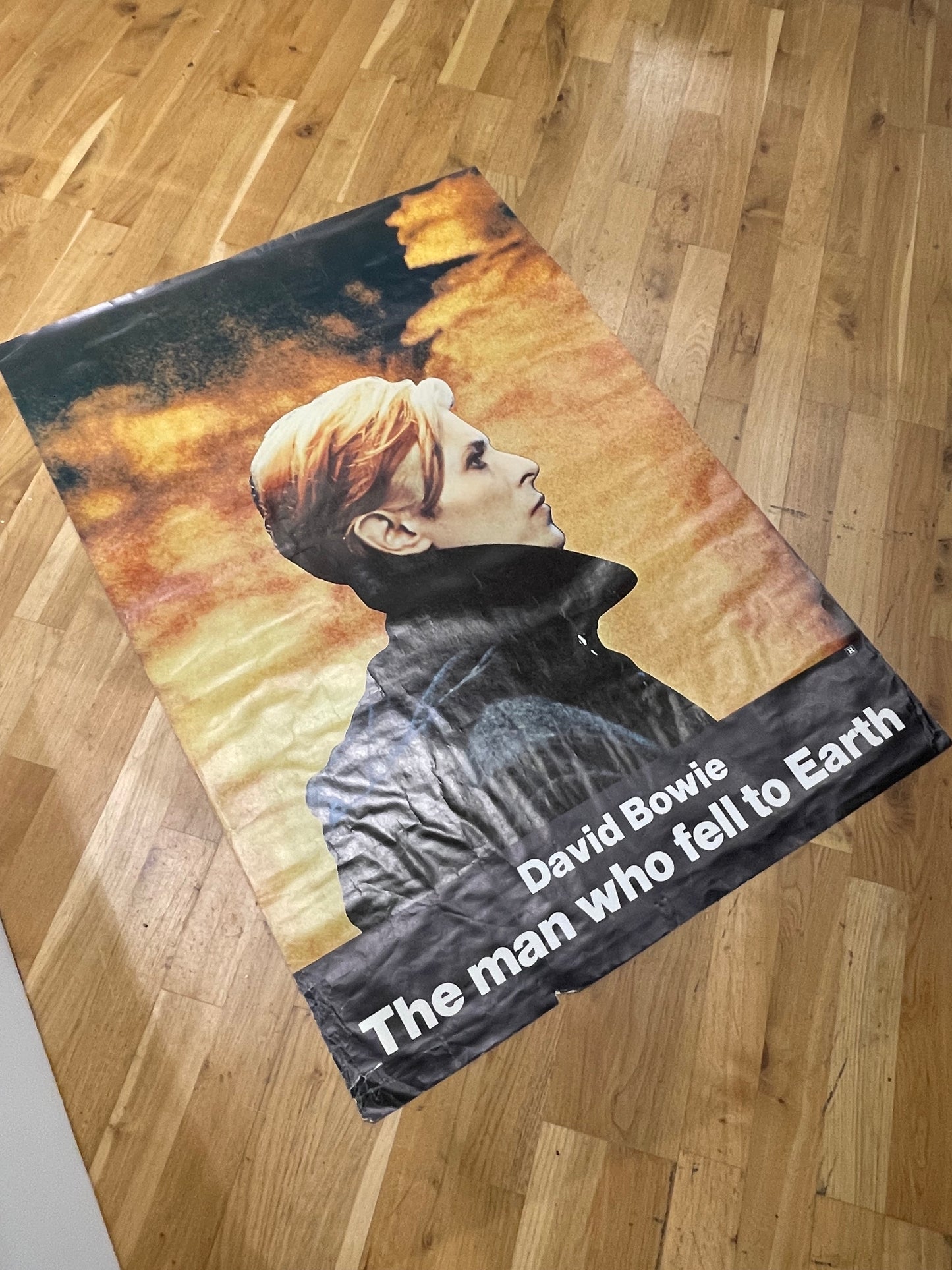 Vintage 1976 poster of “The man who fell to Earth” that starred David Bowie!