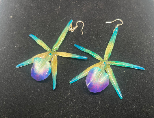 Real exotic Cattleya Orchid Flowers (turquoise/blue) Earrings