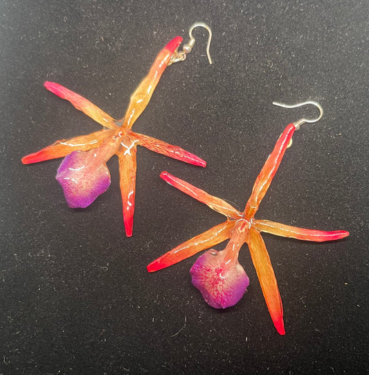 Real Exotic Cattleya Orchid Flower (pink/purple) Earrings