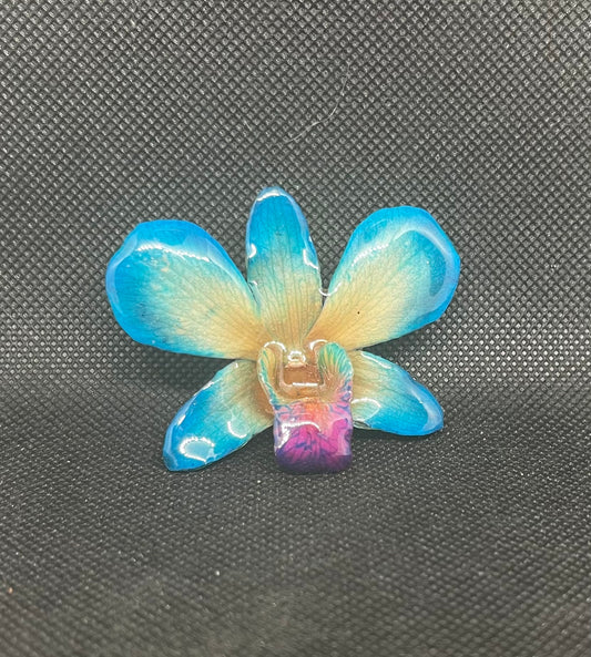 Real Orchid Bloom Pin & Pendant (Small)