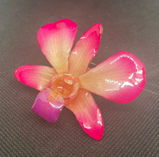 Real Orchid Bloom Pin & Pendant (Medium)