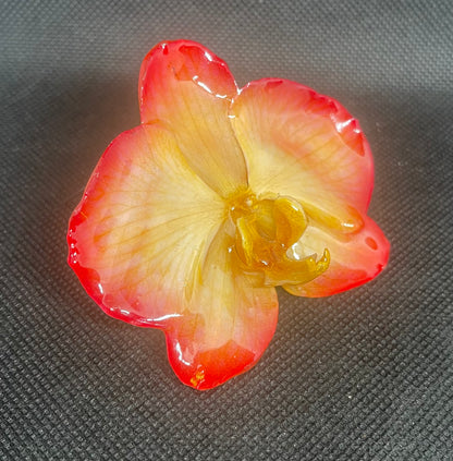 Real Whole Flower Pin & Pendant  (Medium+)