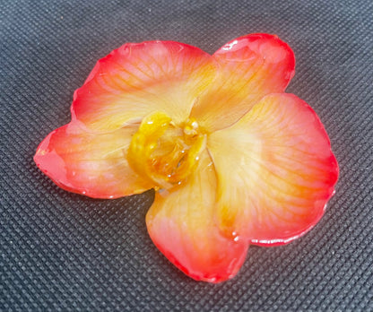 Real Whole Flower Pin & Pendant  (Medium+)