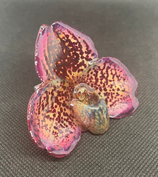 Real Natural Orchid (Whole Flower)Pin & Pendant (Medium+)