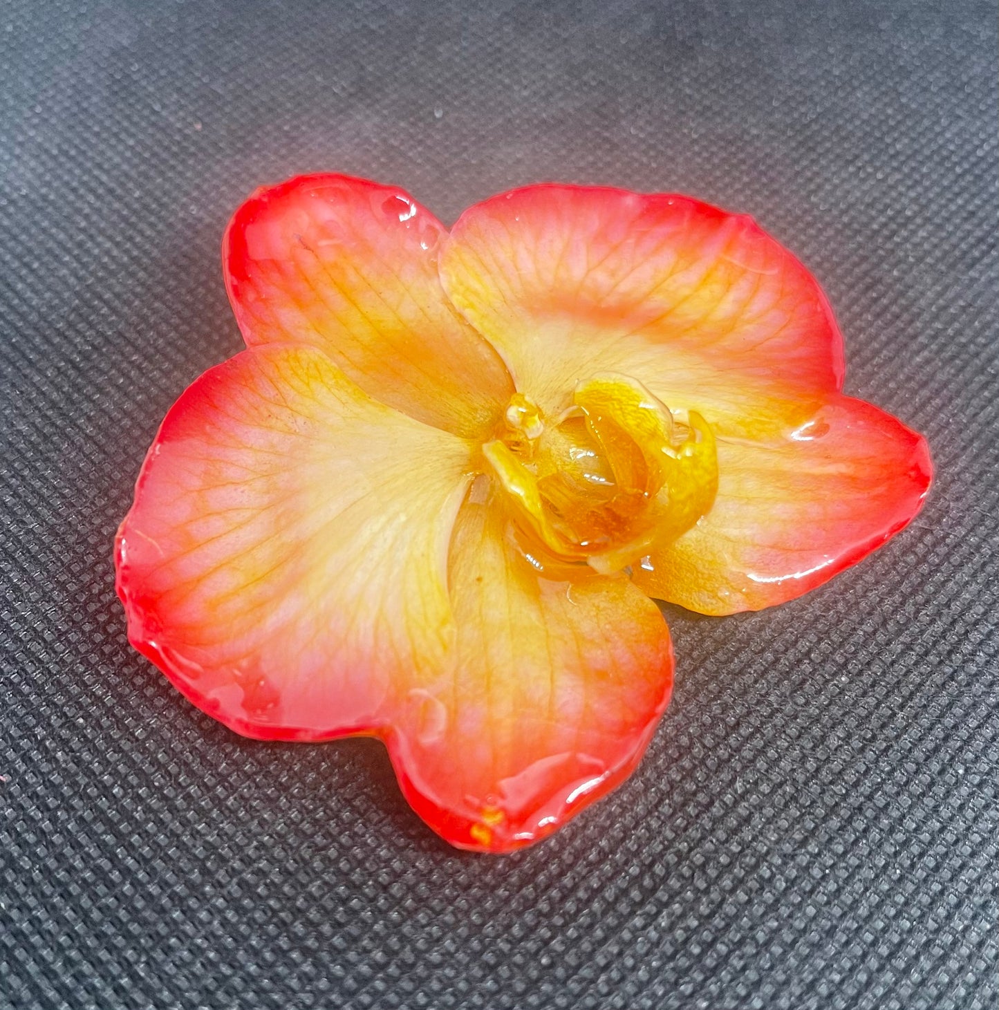 Real Whole Flower Pin & Pendant  (Medium+)
