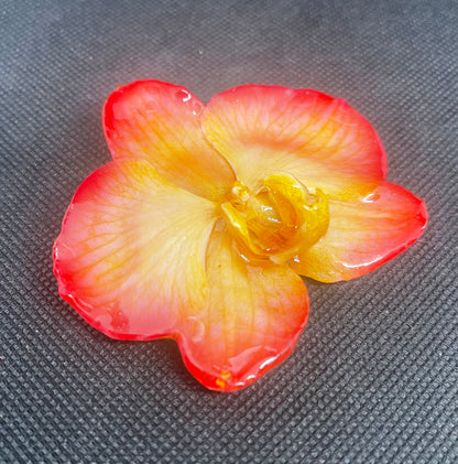 Real Whole Flower Pin & Pendant  (Medium+)